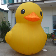 Yellow Duck